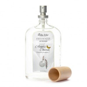 Angels Charm - Ambientador Spray 100ml 0134065